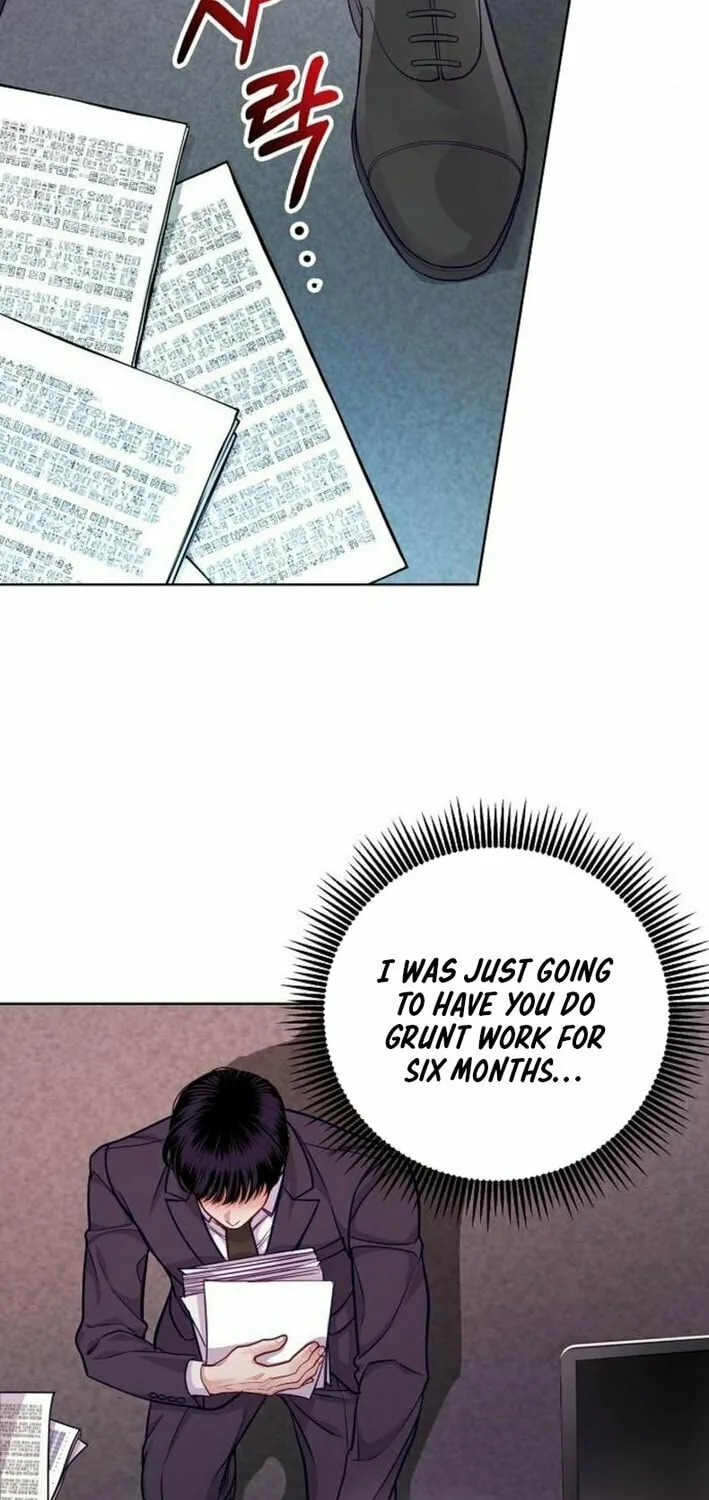The Ordinary Lawyer