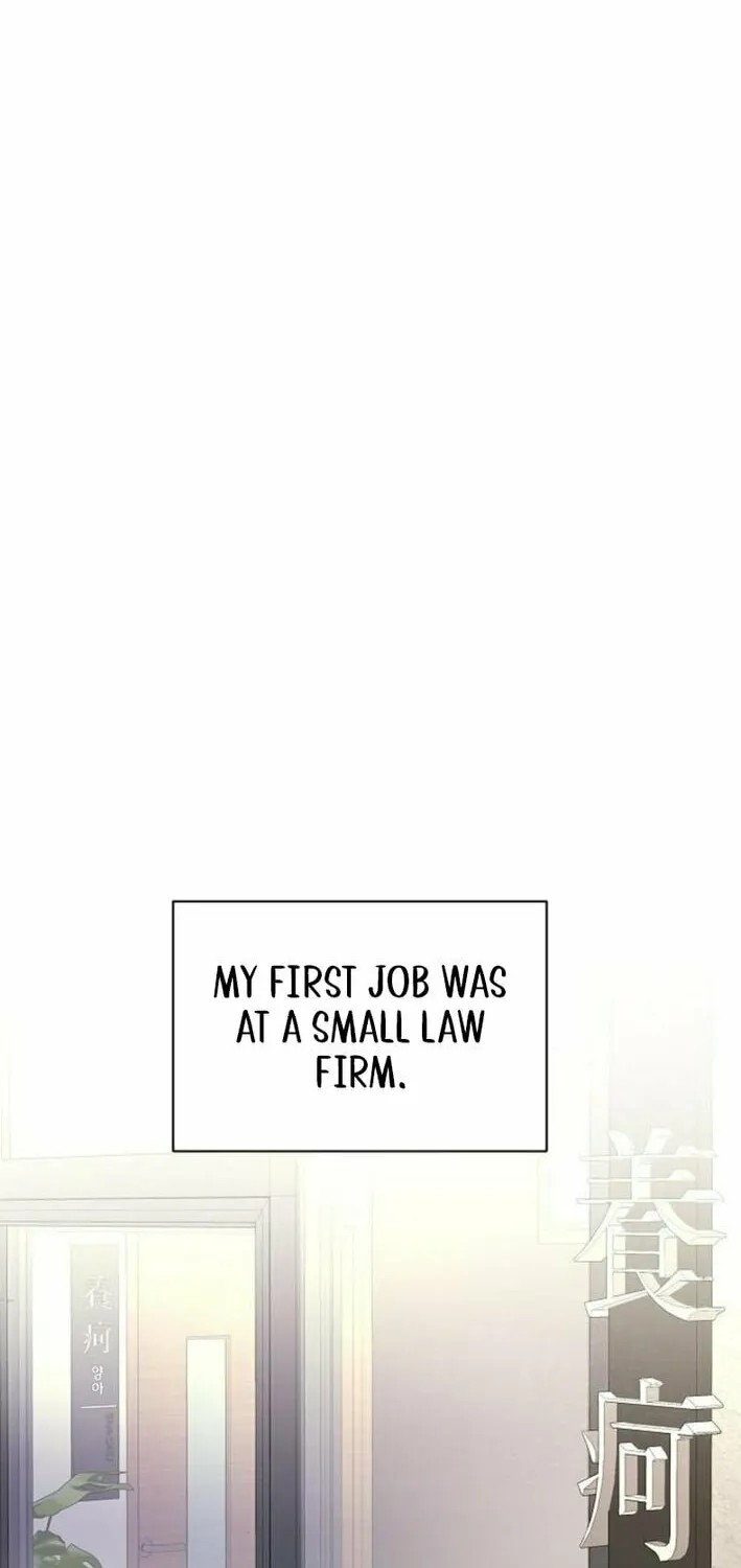 The Ordinary Lawyer