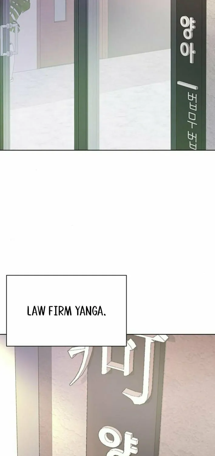 The Ordinary Lawyer