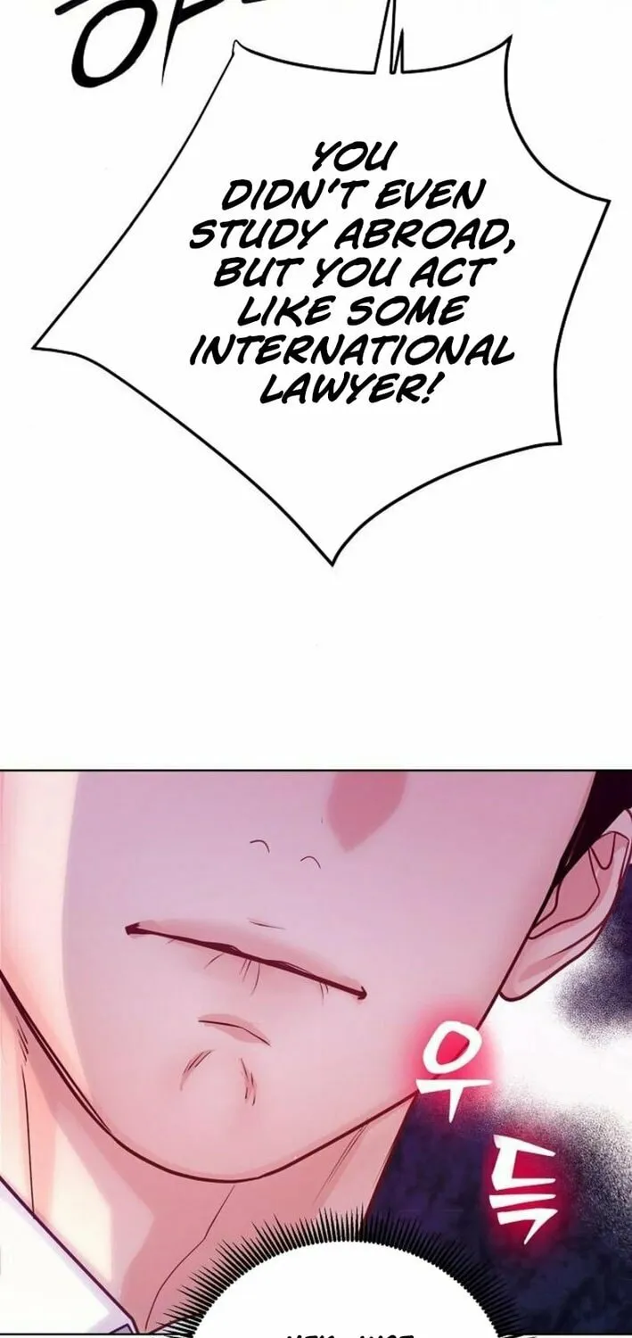 The Ordinary Lawyer