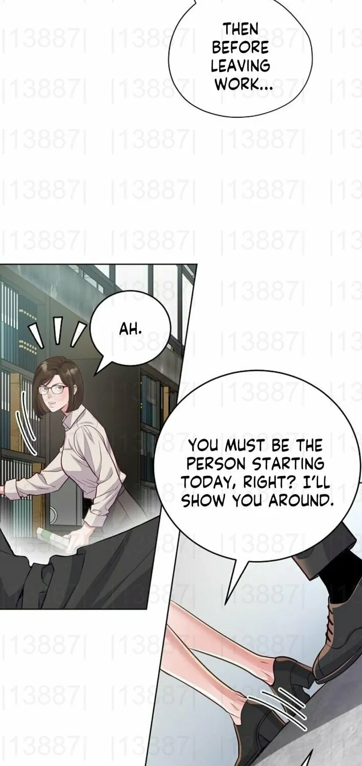 The Ordinary Lawyer