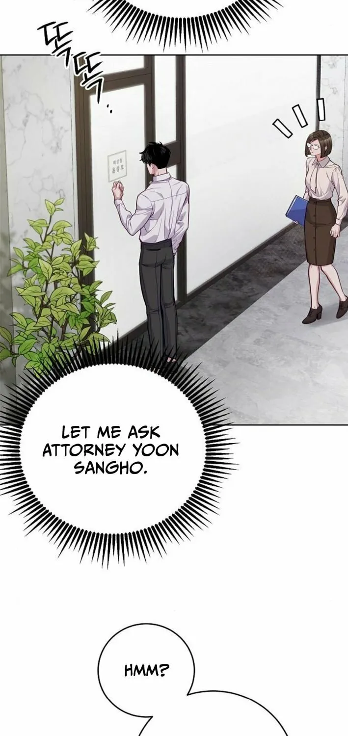 The Ordinary Lawyer
