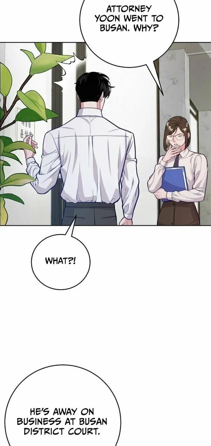 The Ordinary Lawyer