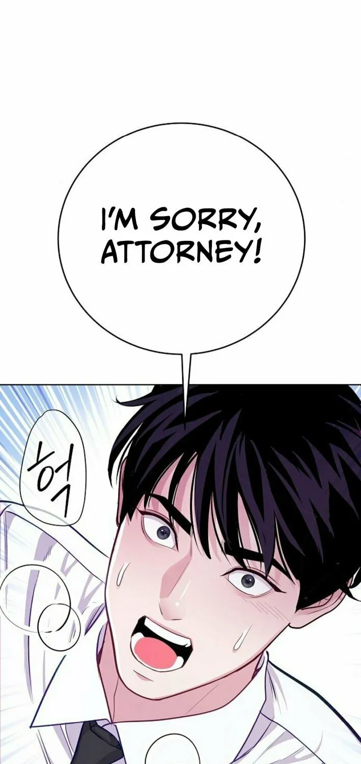 The Ordinary Lawyer