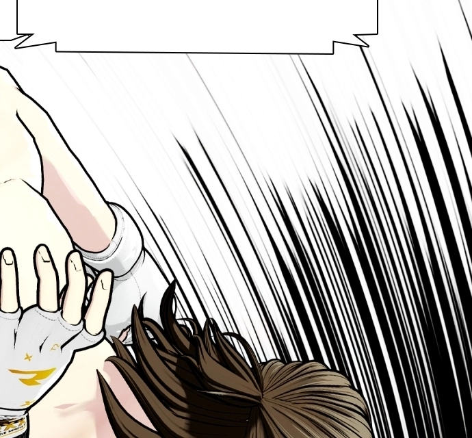 The Outcast is a Fighter Chapter 133 page 283 - 