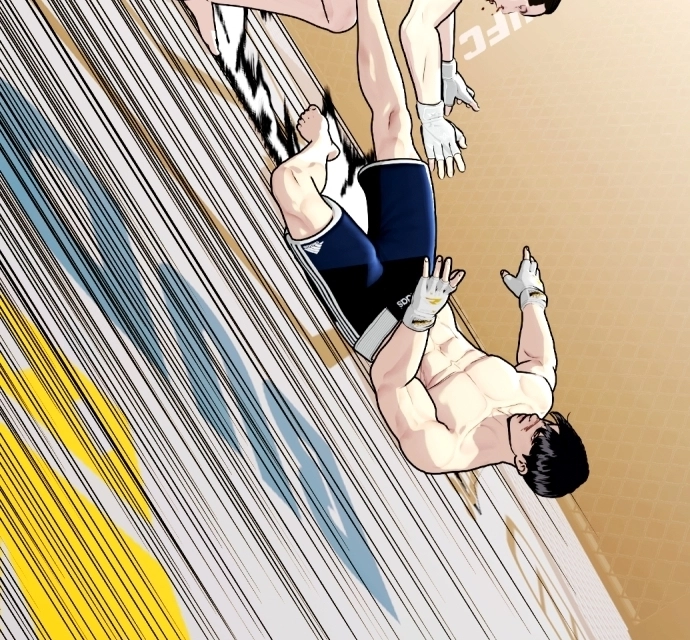 The Outcast is a Fighter Chapter 133 page 310 - 