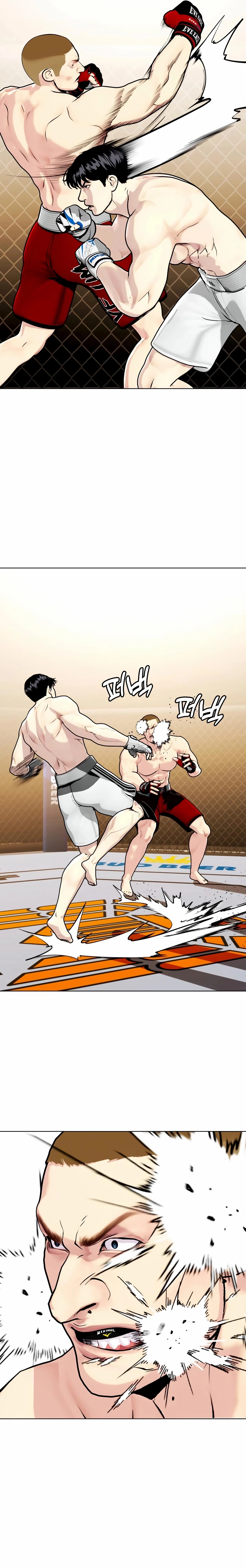 The Outcast is a Fighter Chapter 141 page 33 - 