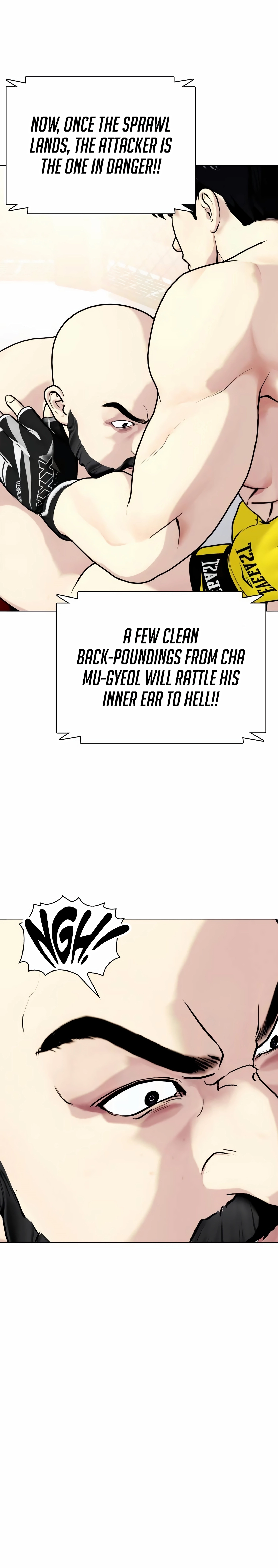 The Outcast is a Fighter Chapter 147 page 25 - 