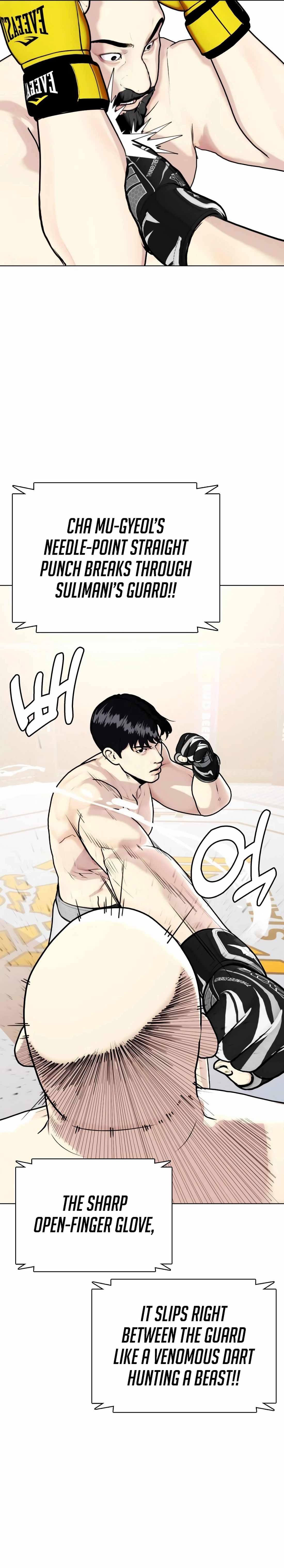 The Outcast is a Fighter Chapter 147 page 37 - 