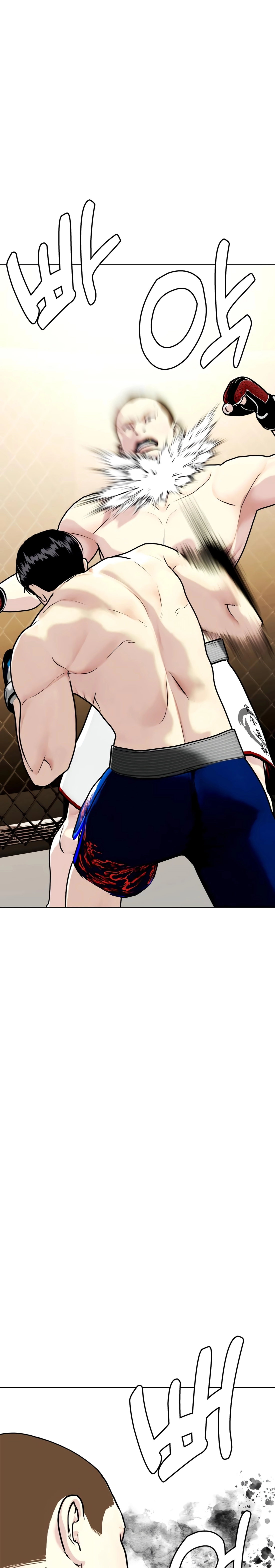 The Outcast is a Fighter Chapter 155 page 27 - 