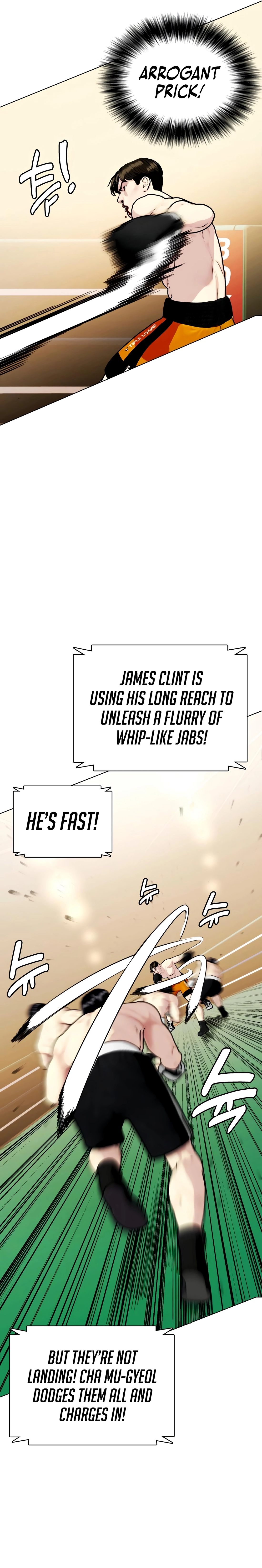 The Outcast is a Fighter Chapter 157 page 13 - 