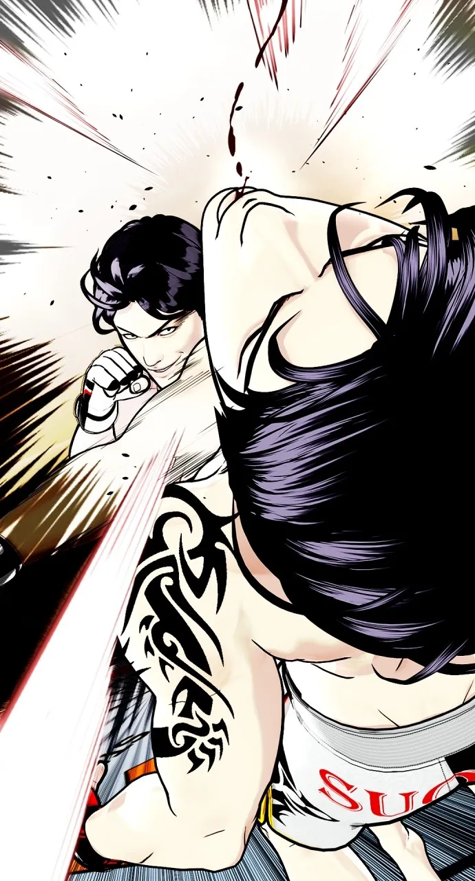 The Outcast is a Fighter Chapter 16 page 2 - 