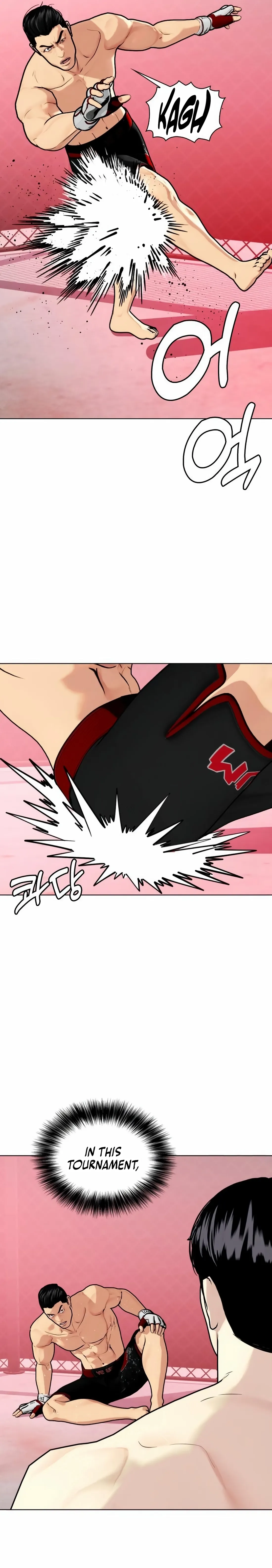 The Outcast Is Too Good at Martial Arts Chapter 149 page 29 - 