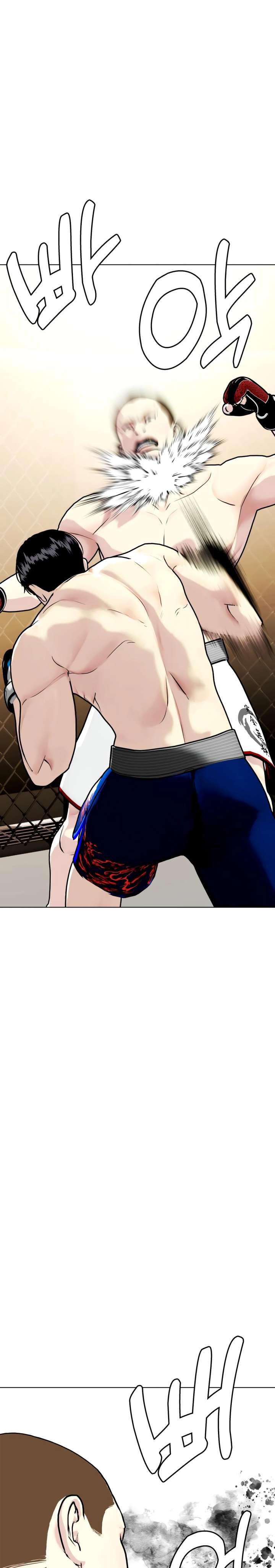 The Outcast Is Too Good at Martial Arts Chapter 155 page 27 - 