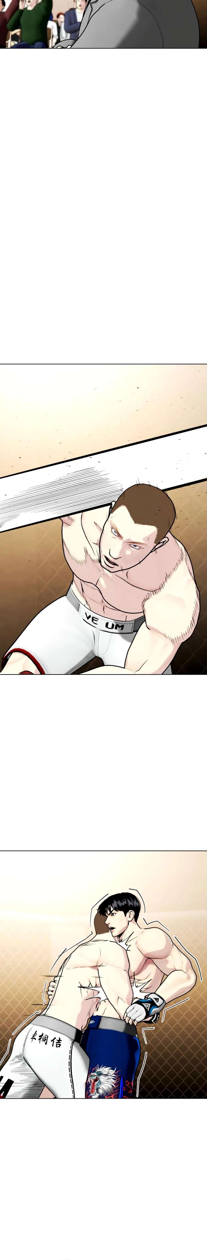 The Outcast Is Too Good at Martial Arts Chapter 155 page 30 - 