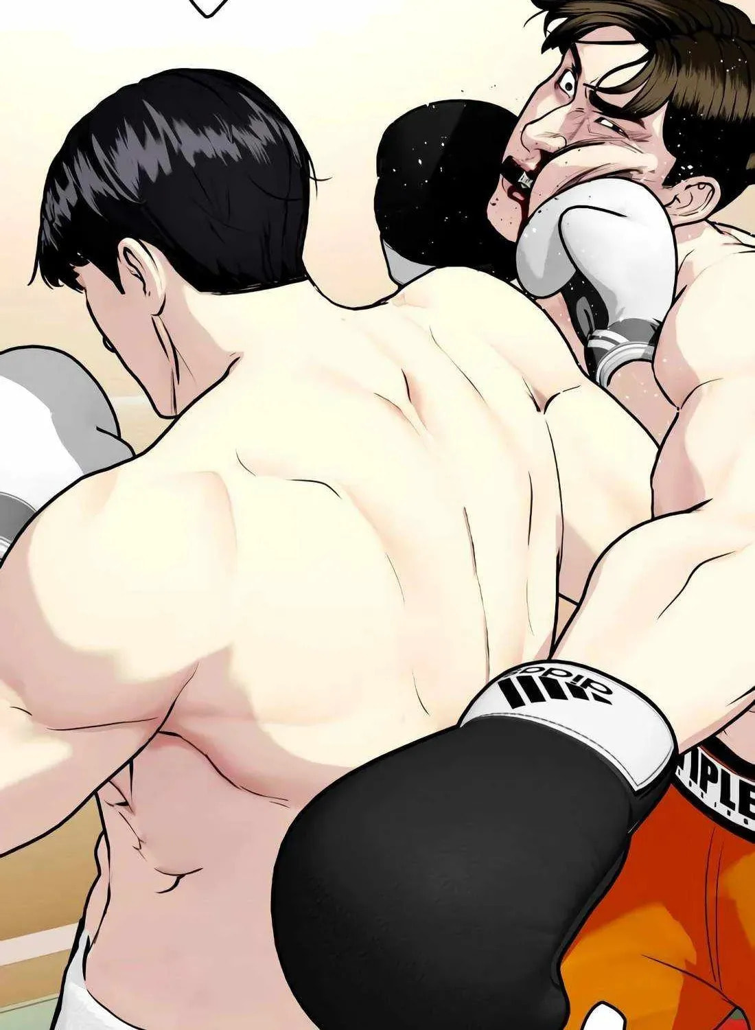 The Outcast Is Too Good at Martial Arts Chapter 157 page 37 - 