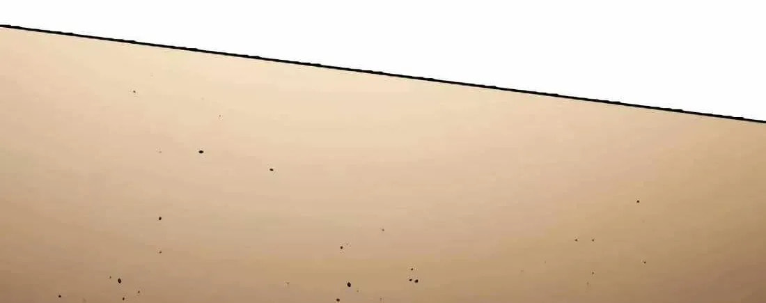 The Outcast Is Too Good at Martial Arts Chapter 158 page 125 - 