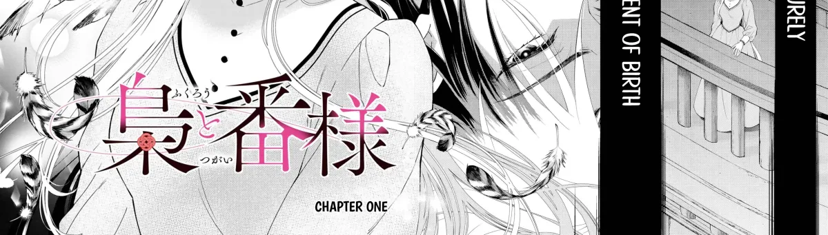The Owl and the Fated Mate Chapter 1 page 5 - 