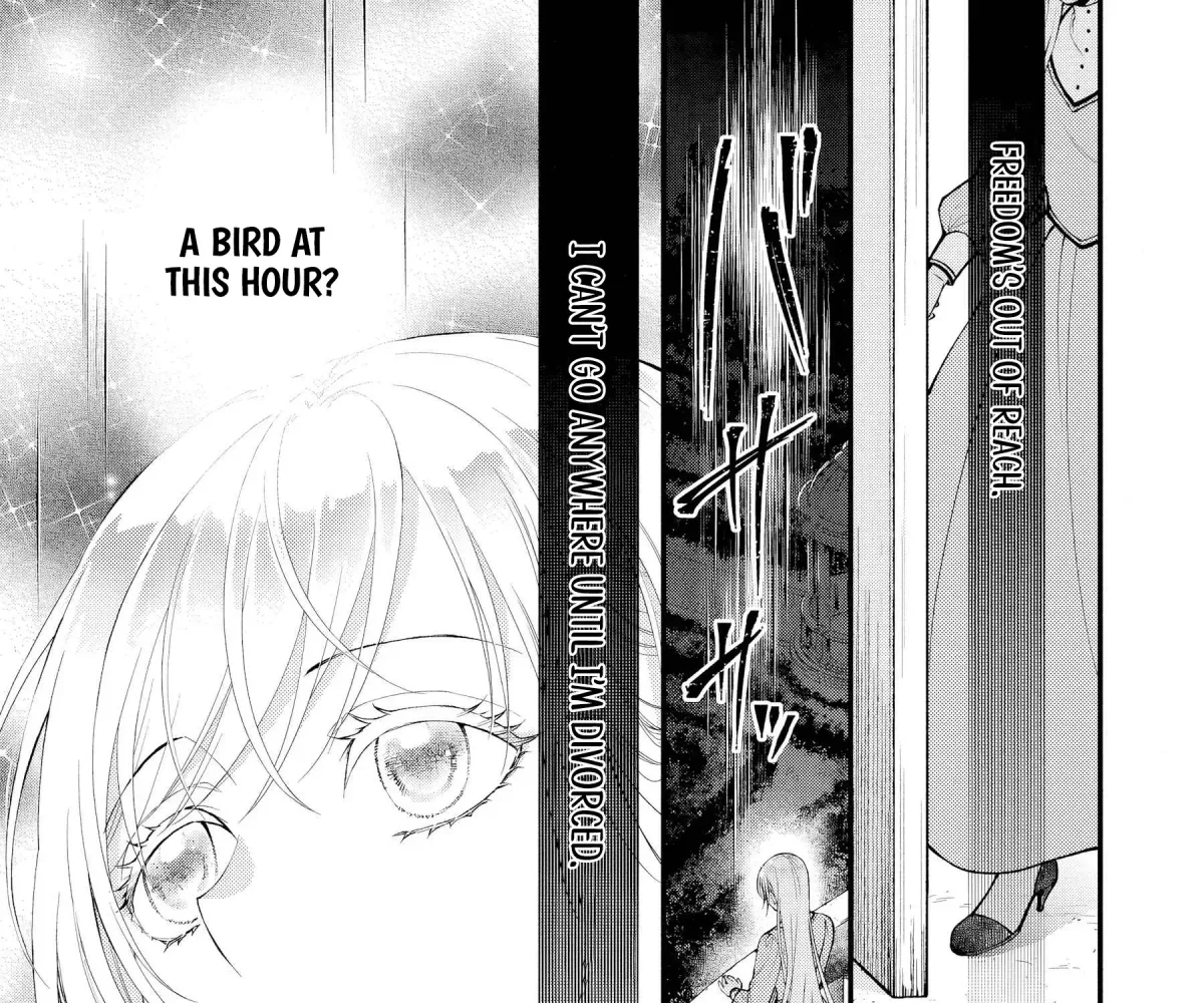 The Owl and the Fated Mate Chapter 1 page 58 - 
