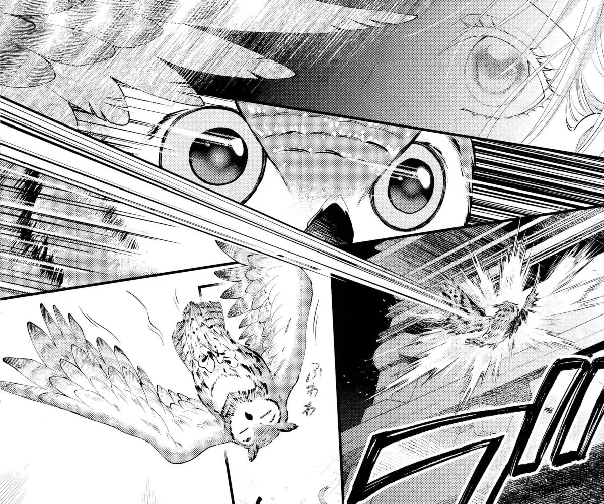 The Owl and the Fated Mate Chapter 1 page 60 - 