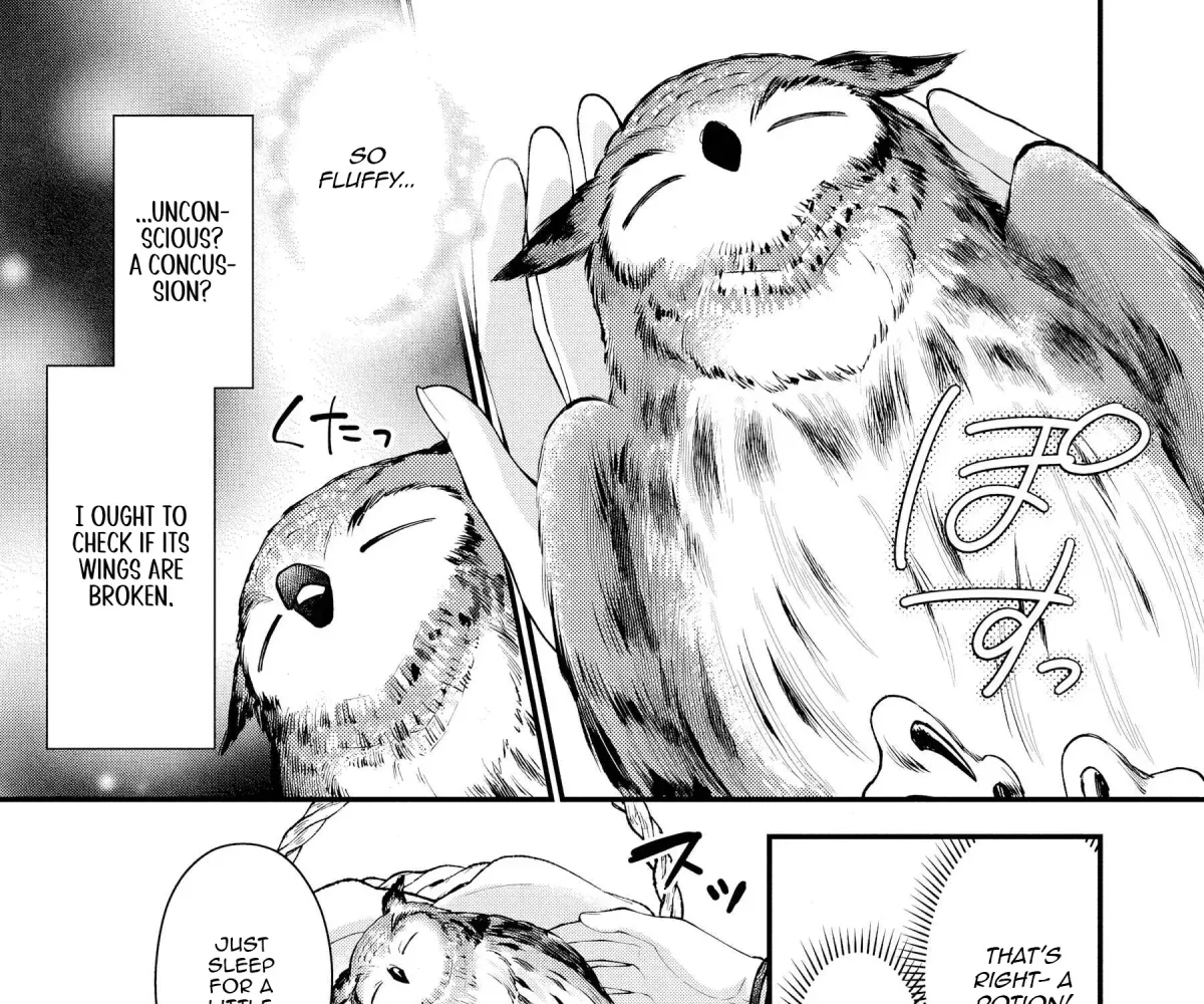 The Owl and the Fated Mate Chapter 1 page 62 - 
