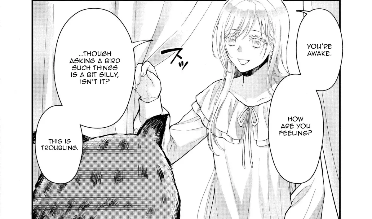 The Owl and the Fated Mate Chapter 1 page 65 - 