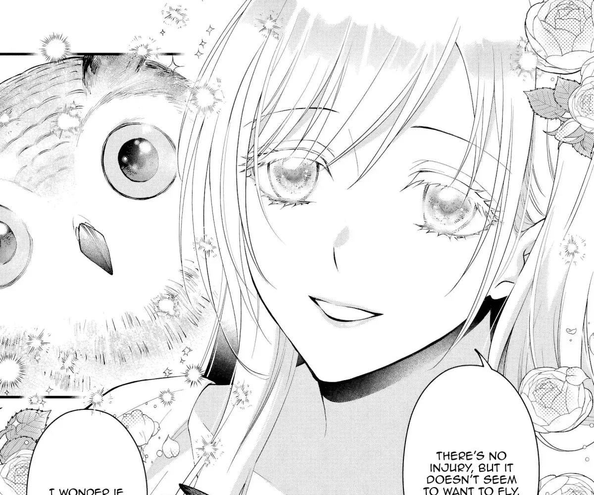 The Owl and the Fated Mate Chapter 1 page 66 - 