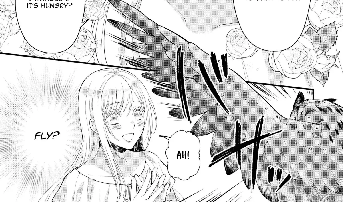 The Owl and the Fated Mate Chapter 1 page 67 - 