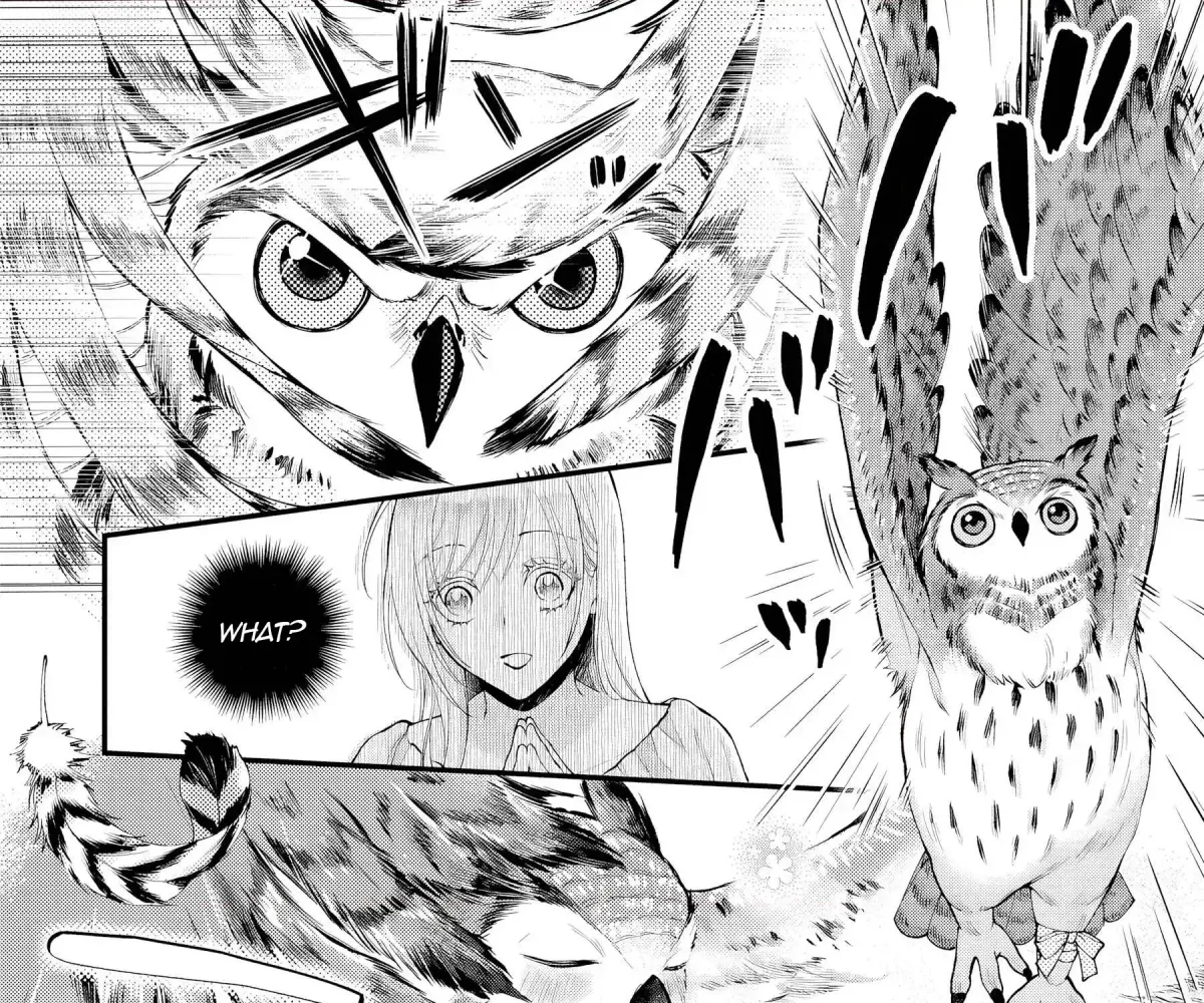 The Owl and the Fated Mate Chapter 1 page 68 - 