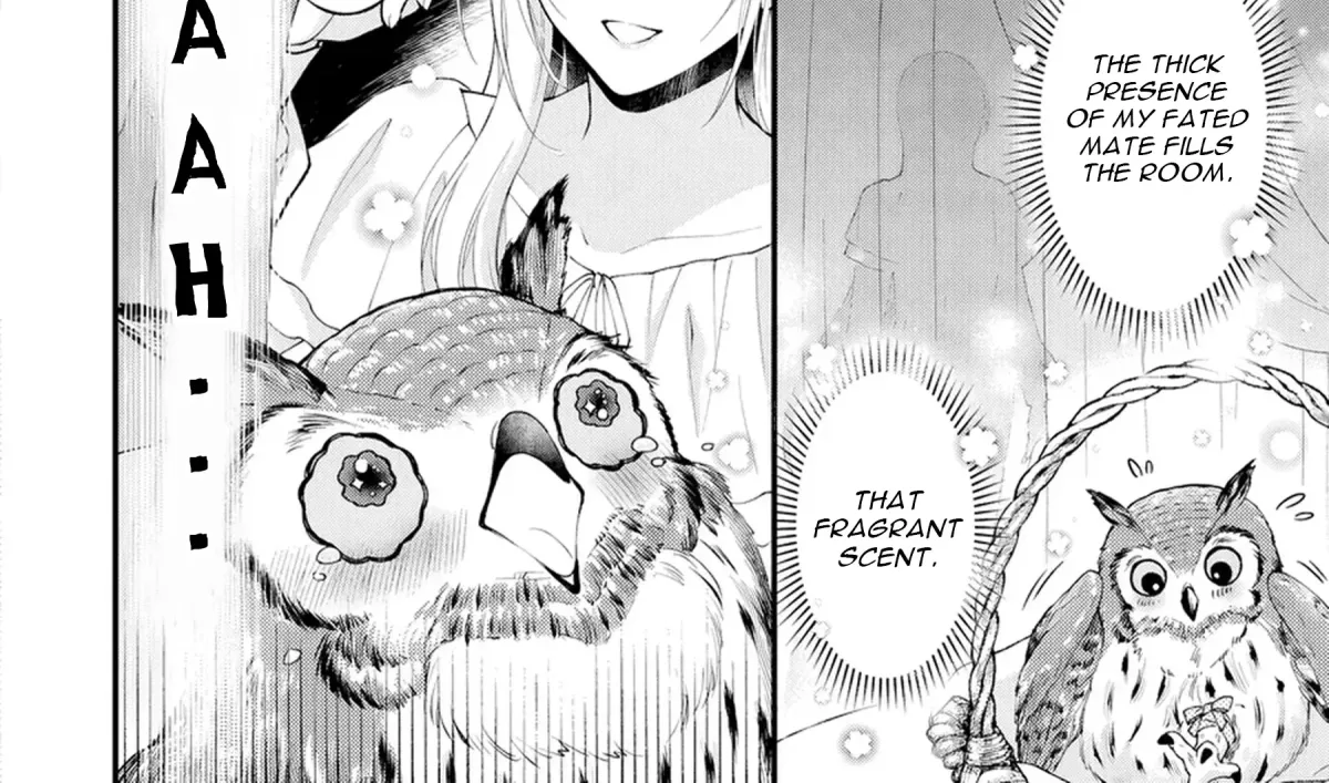 The Owl and the Fated Mate Chapter 2 page 11 - 