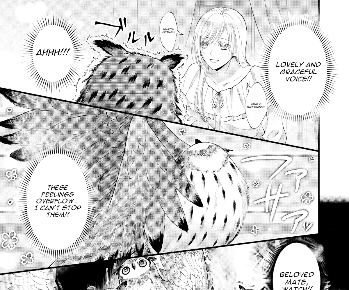 The Owl and the Fated Mate Chapter 2 page 12 - 