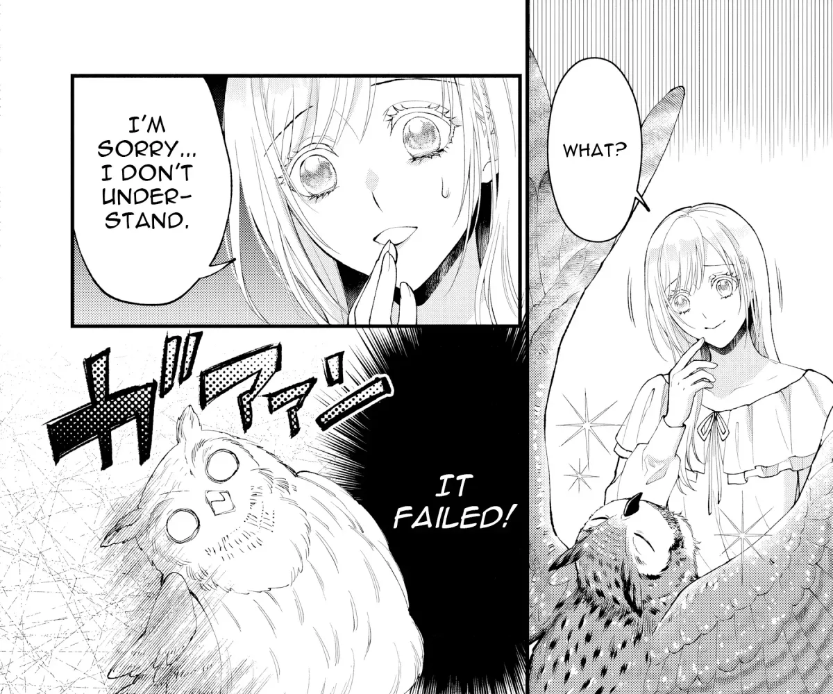 The Owl and the Fated Mate Chapter 2 page 14 - 