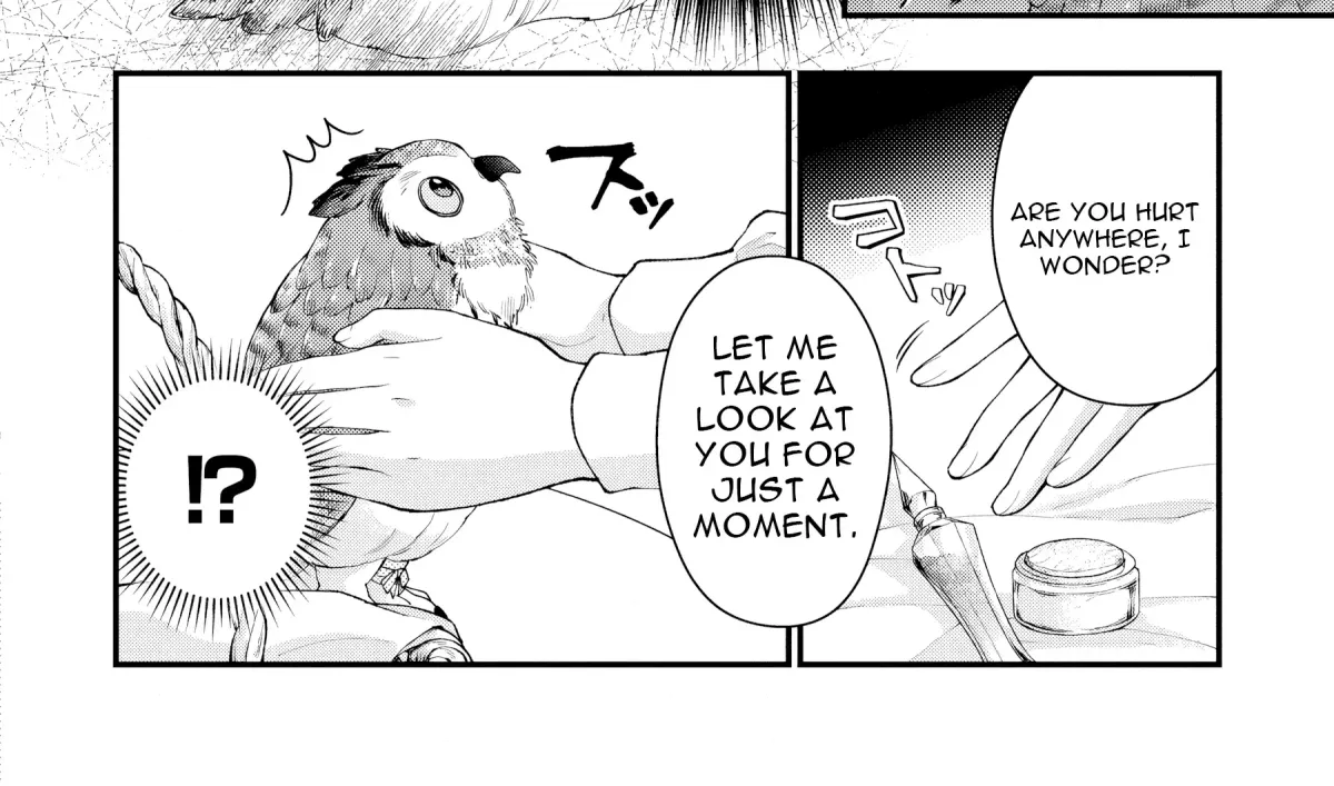 The Owl and the Fated Mate Chapter 2 page 15 - 