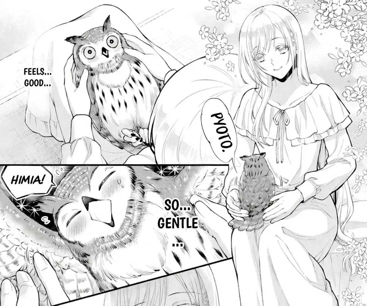 The Owl and the Fated Mate Chapter 2 page 16 - 