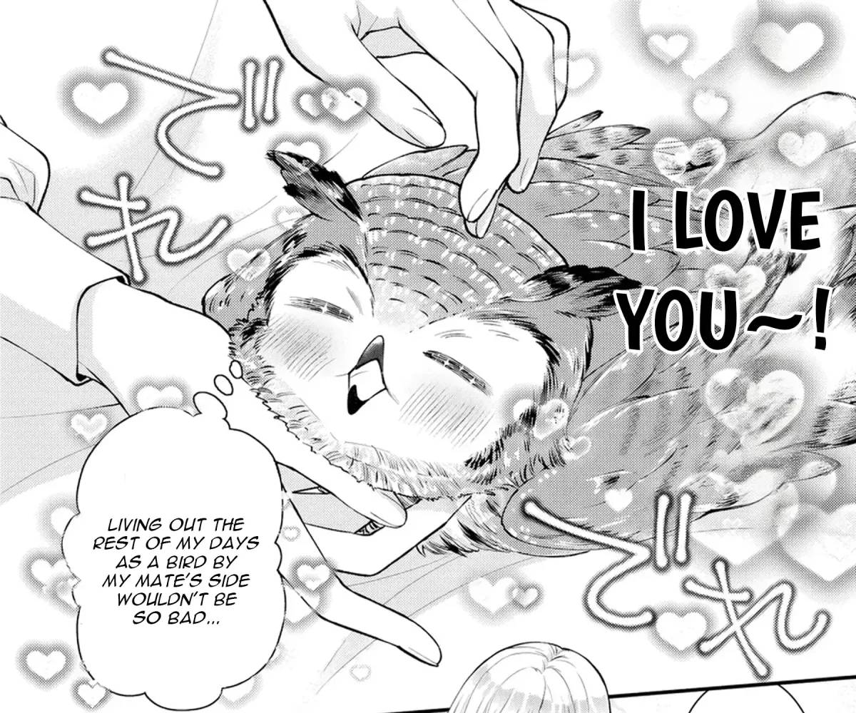 The Owl and the Fated Mate Chapter 2 page 18 - 