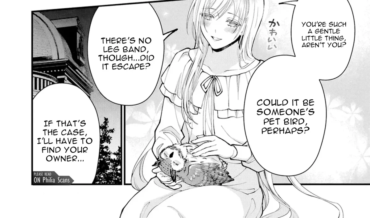 The Owl and the Fated Mate Chapter 2 page 19 - 