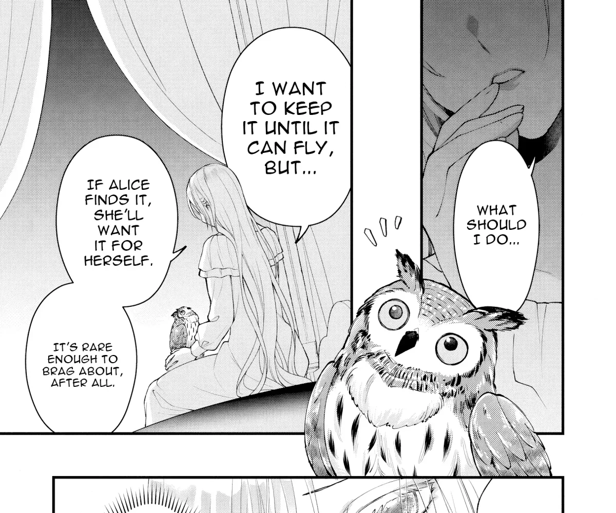 The Owl and the Fated Mate Chapter 2 page 20 - 