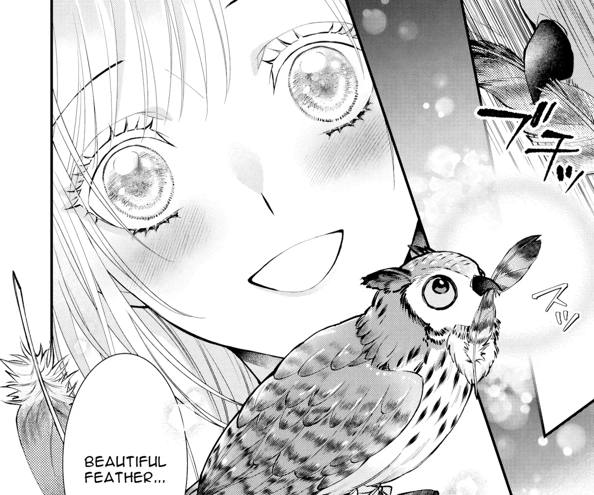 The Owl and the Fated Mate Chapter 2 page 26 - 
