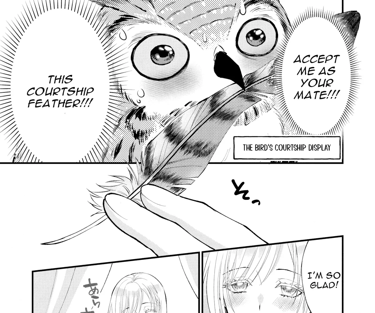 The Owl and the Fated Mate Chapter 2 page 28 - 