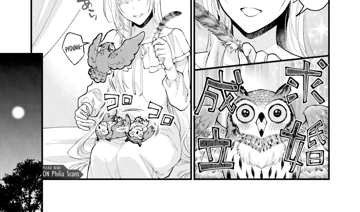 The Owl and the Fated Mate Chapter 2 page 29 - 