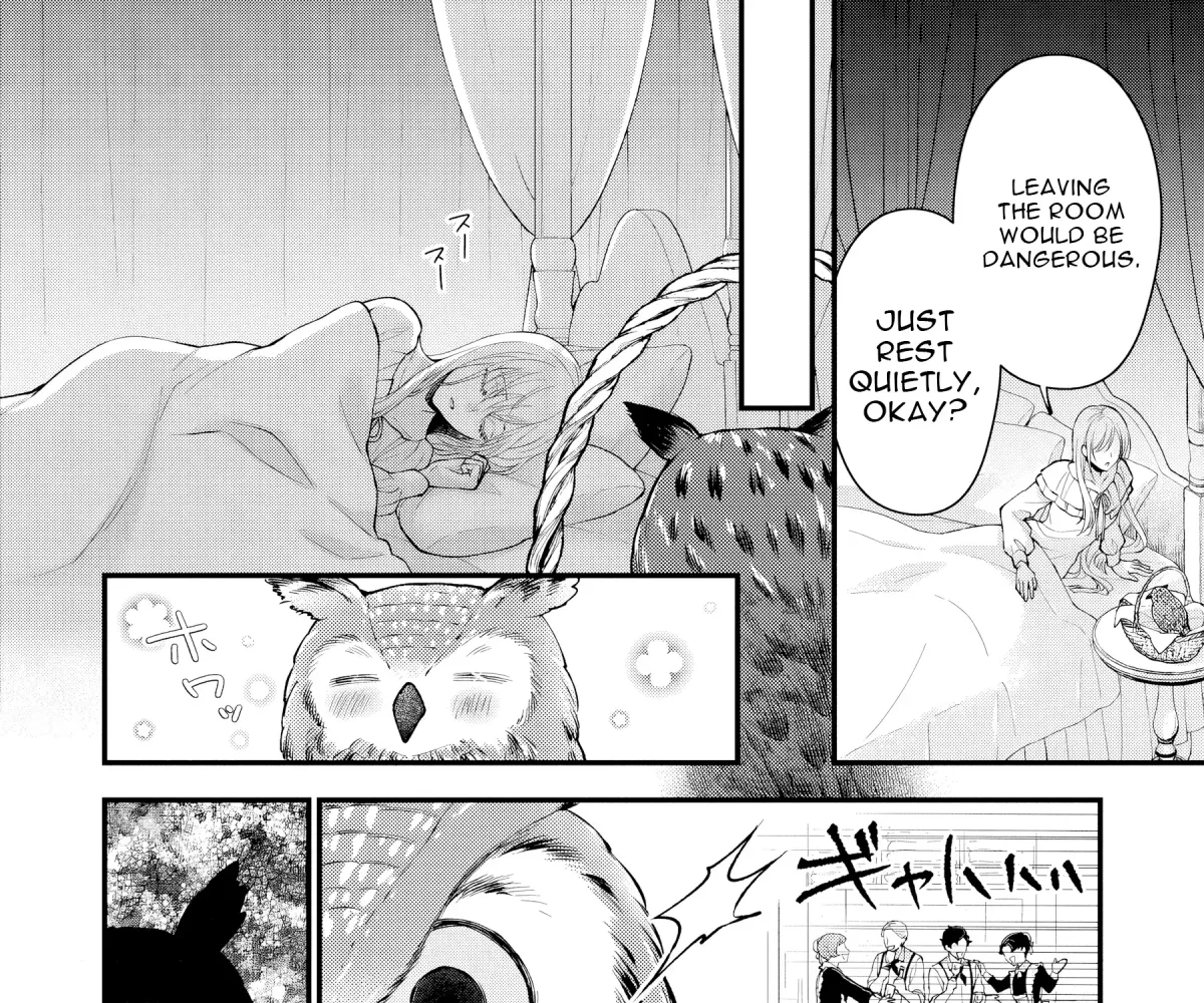 The Owl and the Fated Mate Chapter 2 page 30 - 
