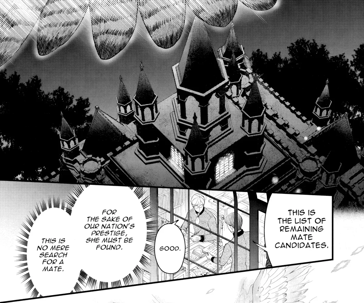 The Owl and the Fated Mate Chapter 2 page 32 - 