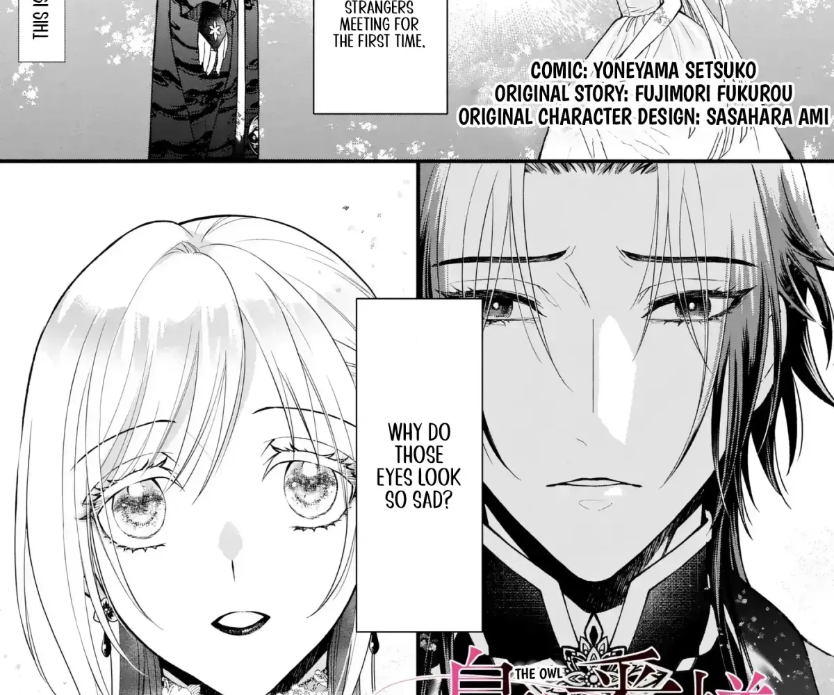 The Owl and the Fated Mate Chapter 4 page 2 - 