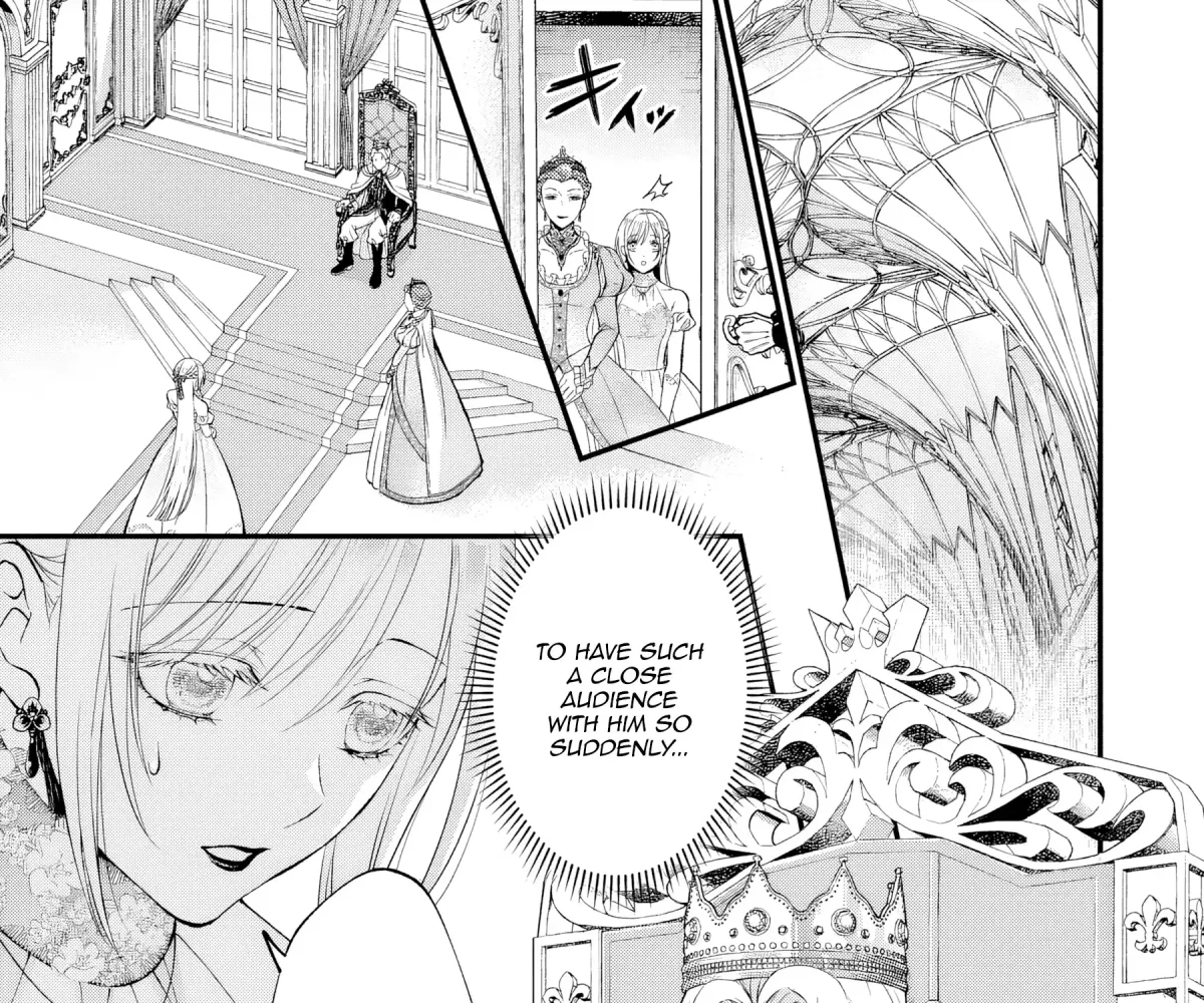 The Owl and the Fated Mate Chapter 4 page 14 - 