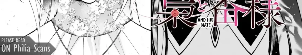 The Owl and the Fated Mate Chapter 4 page 3 - 