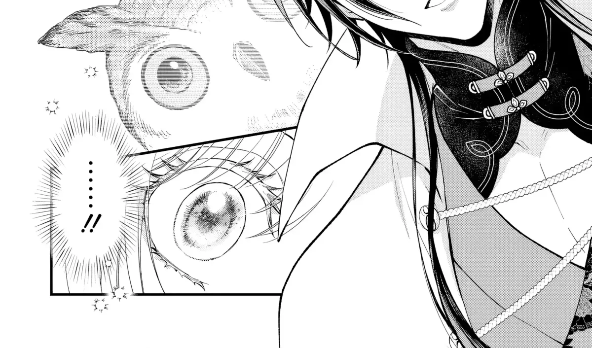 The Owl and the Fated Mate Chapter 5 page 45 - 