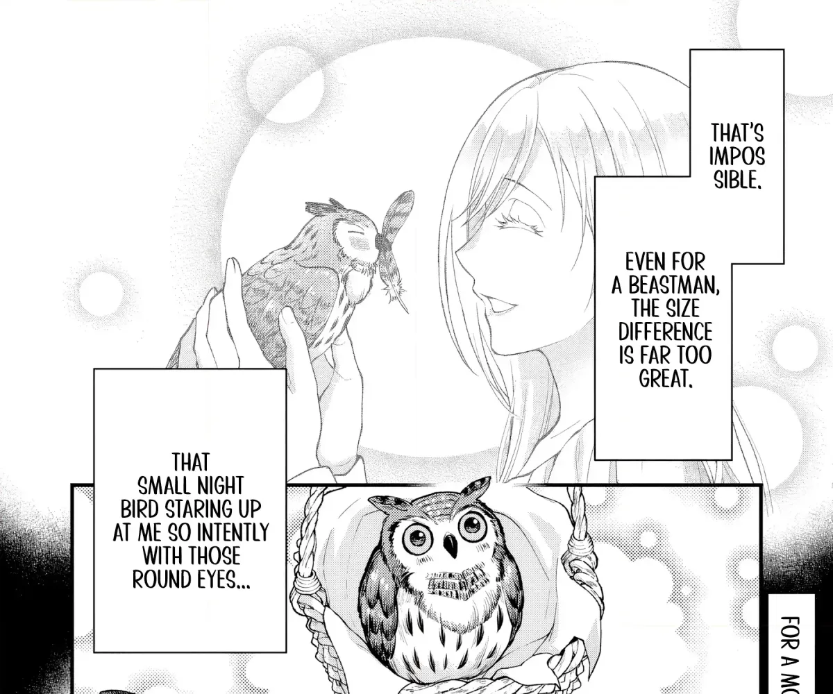 The Owl and the Fated Mate Chapter 5 page 48 - 