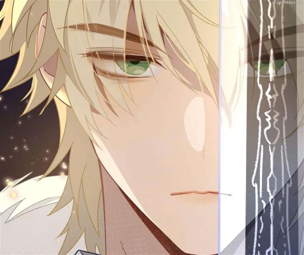 The Paladin