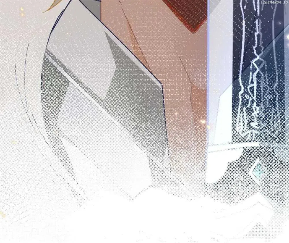 The Paladin