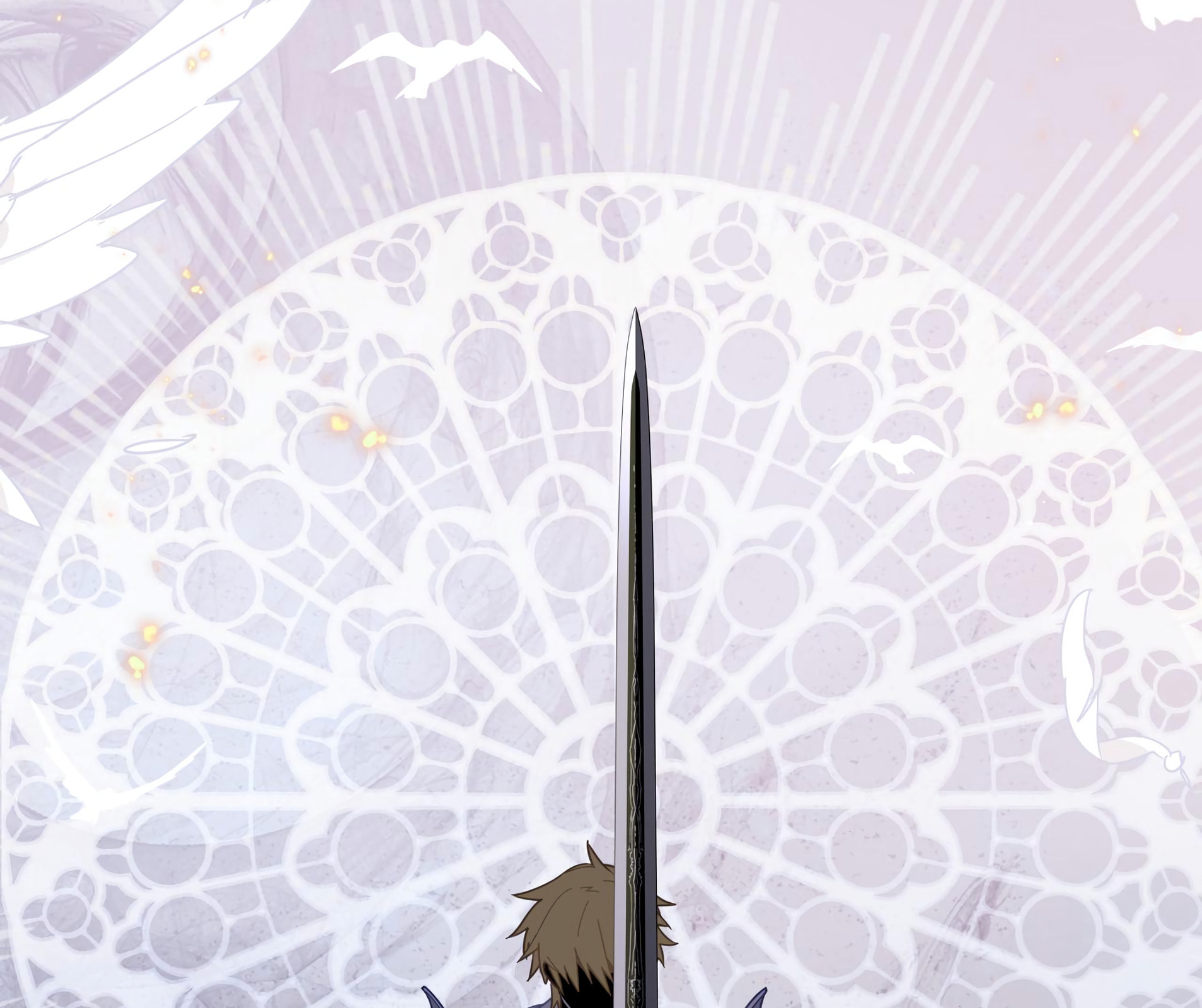 The Paladin